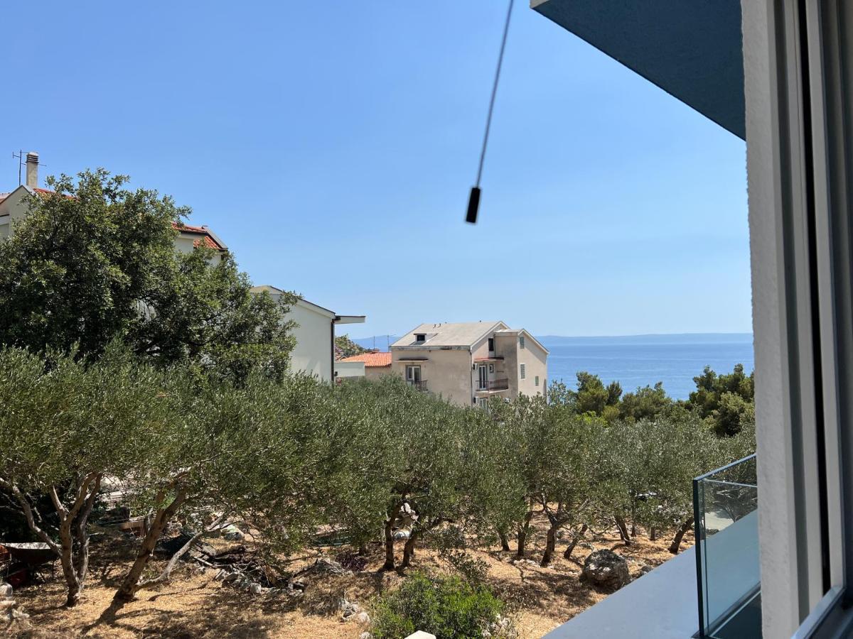 Apartment Hana Lux
